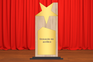 Troféu Empresarial
